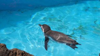 せっかくなのでゆっくりできれば