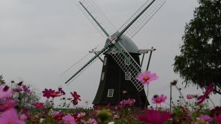 オランダ風の風車に四季折々の花が楽しめる公園
