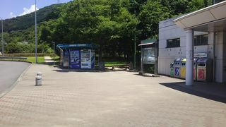 桜はもはや名前だけです。