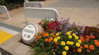 花壇の花が綺麗でした