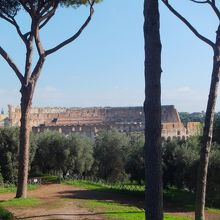 コロッセオが見えます