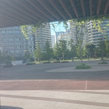 昼の公園の風景です。