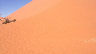 ナミブ砂漠・デューン４５