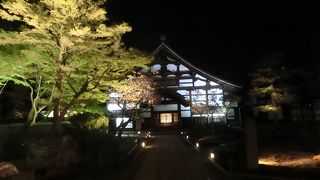 ライトアップが綺麗でした