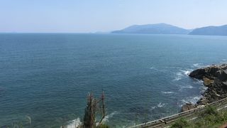 列車を停めて見せてくれました