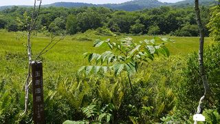 ラベンダーに登山、湿原歩きなど様々なレジャーを満喫