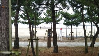 松林が目印です。