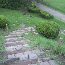 御亭山の東側の登り口です。階段の幅が、西側よりも広いです。