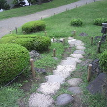 西側の登り口を利用して、降りて行きます。潮入りの池が見えます