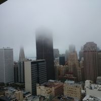朝は霧のサンフランシスコなのでこういう景色が