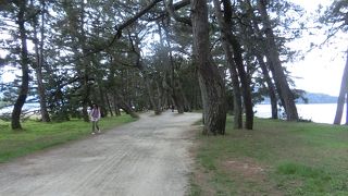 歩いたり、自転車で渡れるそうです。