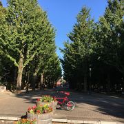 憩いとスポーツ両方楽しめる公園