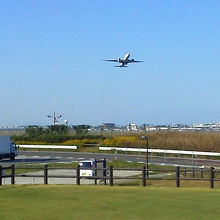 本当は南側からの着陸の様子のほうが機影が大きく迫力があります