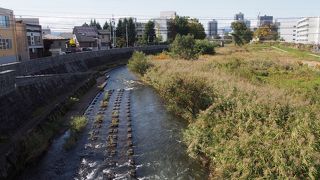 盛岡城跡の東側