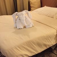 Evening Turn Downではタオルぬいぐみが