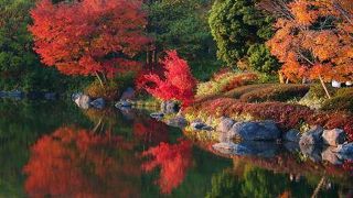 紅葉が見事ですけどアクセスには気をつけて