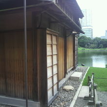 松の御茶屋の西側の側面とともに潮入りの池を見ている写真です。