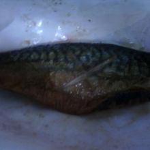 ひとつ475円（税込）です。  