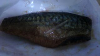 お魚の種類が豊富です。