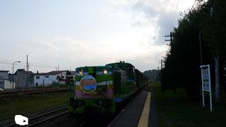 富良野ラベンダー観光や美瑛丘めぐりに重宝する