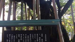 国の天然記念物