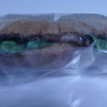 鴨のサンドイッチです。