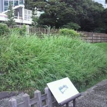 中の御門の石垣と土手です。前に中の御門の解説が置かれています