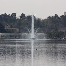 千波湖の噴水