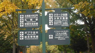 北大は一般市民も観光客にもやさしい