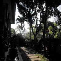 部屋の外から見える風景。左側