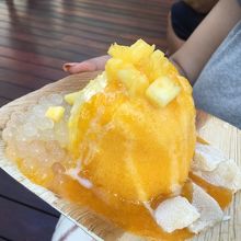 トロピカルアイランド