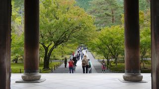 ため息がでる美しさ