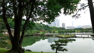 新緑の中で印象的でした。