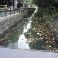 中の御門から築地川に通ずる掘割です。大量のゴミが漂っています