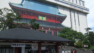 三仏堂の横の池にいる鹿は人なつこかった！