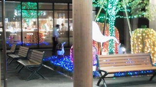 綺麗になっていました！