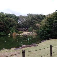 庭の風景