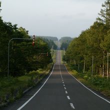 降りて道路から見ても真直ぐ。