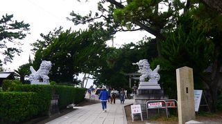 ちょっと雰囲気は…