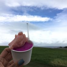 グァバとドラゴンフルーツ