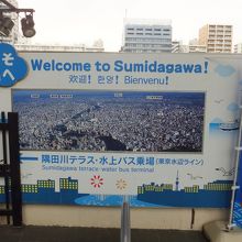 色々な言葉で表示されてました。