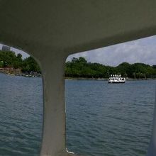 白鳥ボートからの眺め