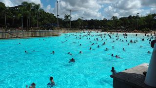 ビッグウェーブはクセになる！