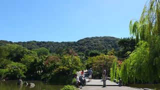 八坂神社に隣接した公園