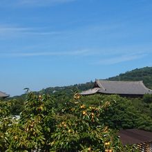 展望テラスからは東大寺などが見えます。