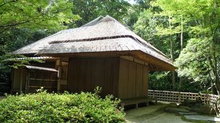 簡素なたたずまいで侘茶を楽しめそうです