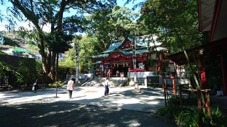 落ち葉でハート