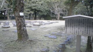 基礎石並ぶ遺跡