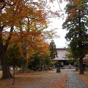 紅葉が駆け足で降りてきました