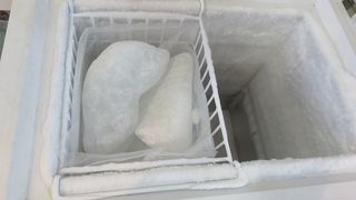 水族館と同一の切符